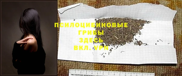 ECSTASY Арсеньев