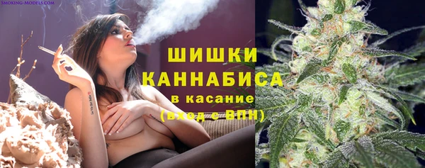 ешки Аркадак
