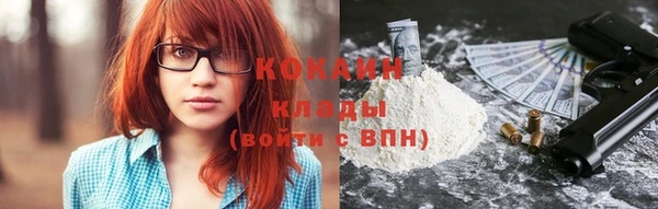 ешки Аркадак