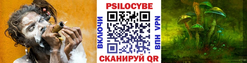 Галлюциногенные грибы мицелий  закладка  ОМГ ОМГ онион  Плёс 